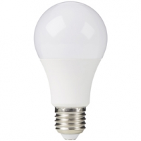 Castorama Diall Ampoule LED E27 13,5W=100W blanc chaud