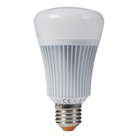 Castorama  Ampoule LED IDUAL E27 11W=60W