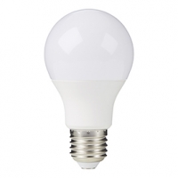 Castorama Diall Ampoule LED E27 9,5W=60W blanc neutre
