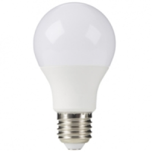 Castorama Diall Ampoule LED E27 9,5W=60W blanc froid