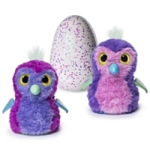 Hatchimals - Penguala Pailleté