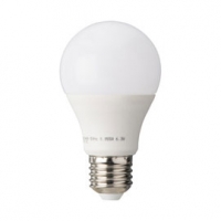 Castorama Diall Ampoule LED E27 5,8W=40W blanc chaud