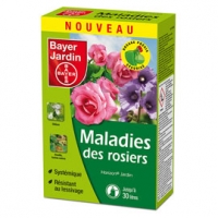 Castorama Bayer Maladie des rosiers 125 ml