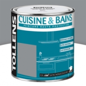 Castorama Tollens Peinture murs et boiseries cuisine/SDB zinc 0,5L