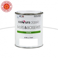 Castorama Colours Peinture Murs et boiseries Blanc Satin 0,75L