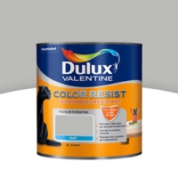 Castorama Dulux Valentine Peinture Col. Resist murs et boiseries gris ciment mat 1L