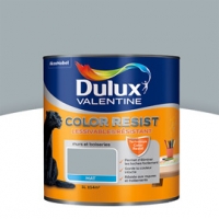 Castorama Dulux Valentine Peinture Col. Resist murs et boiseries gris acier mat 1L