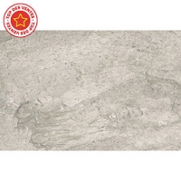 Castorama  Carrelage terrasse gris 40 x 60 cm Oyster