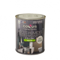 Castorama Colours Peinture multi-supports cuisine/sdb fil de fer satin 0,75L