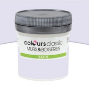 Castorama Colours Peinture Murs et boiseries Mastic Satin 50ML