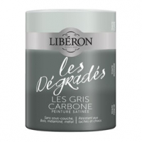 Castorama Liberon Peinture boiseries int. 3 teintes gris carbone satin 0,6L