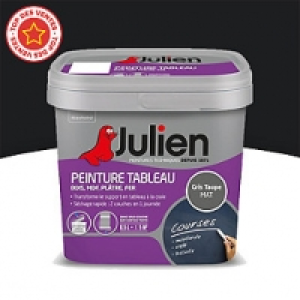 Castorama Julien Peinture tableau multisupport noir ardoise mat JULIEN 0,5L