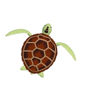 Robo Turtle - Tortue Marron