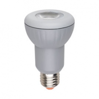 Castorama  Ampoule LED E27 Spot 4,4W=43W Blanc chaud