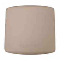 Castorama Somfy Récepteur pour thermostat programmable SOMFY