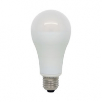 Castorama Diall Ampoule LED E27 15W=100W Blanc chaud