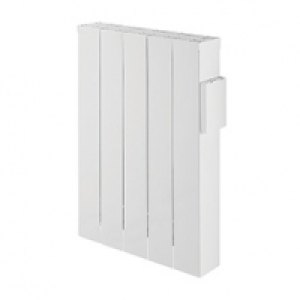 Castorama  Radiateur électrique à inertie sèche fonte Alvara 1000 W