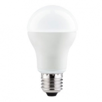 Castorama Paulmann Ampoule LED E27 Globe 11W=60W Blanc froid