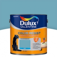 Castorama Dulux Valentine Peinture Col. Resist murs et boiseries bleu verre mat 2,5L