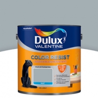 Castorama Dulux Valentine Peinture Col. Resist murs et boiseries gris acier mat 2,5L