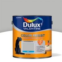 Castorama Dulux Valentine Peinture Col. Resist murs et boiseries gris ciment mat 2,5L