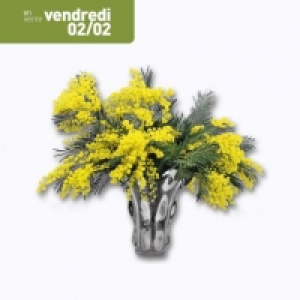 Bouquet de mimosa 3.99 €