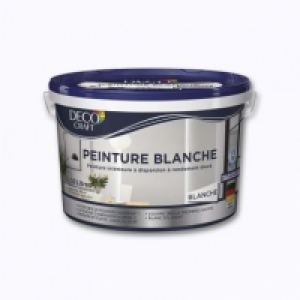 Peinture blanche 19.99 €
