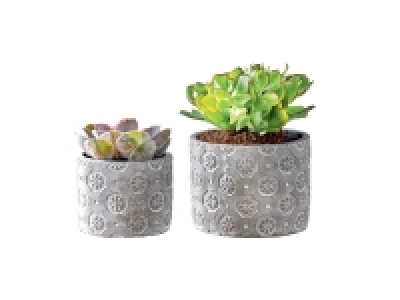 Pots à fleurs, photophores ou vase