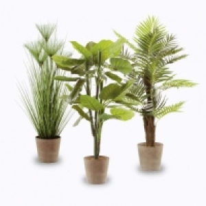 Plante artificielle 29.99 €
