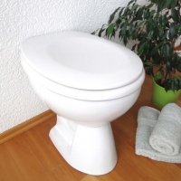 Aldi Home Creation Bathroom® Abattant WC en duroplast