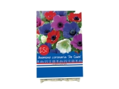 Bulbes dautomne Standard