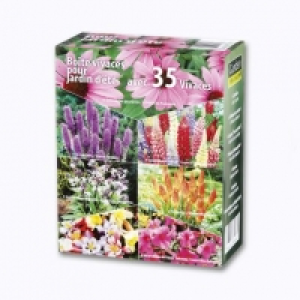 Garden Feelings® Boîte de 35 vivaces pour jardin dété