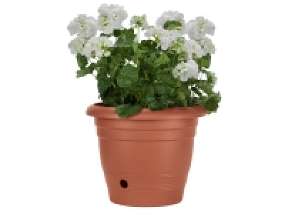 Pot de fleurs 4.99 €
