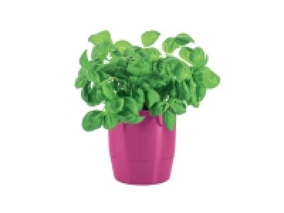 Pot à herbes aromatiques 3.99 €