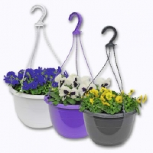 Garden Feelings® Pensées en suspension