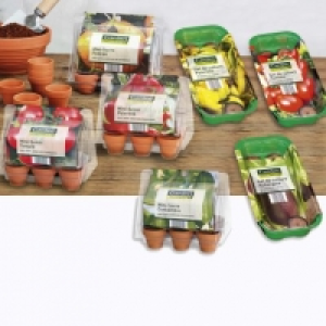 Aldi Garden Feelings® Mini serre