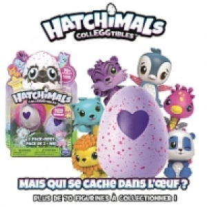 Pack de 2 Hatchimals (mod&egrave;le al&eacute;atoire) 7.99&nbsp;&euro;