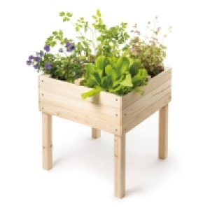 Carr&eacute; potager en bois