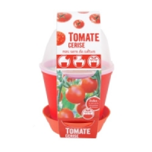Radis Et Capucine Pot cloche tomates cerises BIO