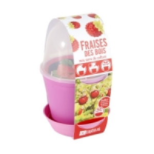 Radis Et Capucine Pot cloche fraisiers BIO