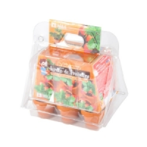 Radis Et Capucine Serre plastique de fraisiers 6 pots Mon premier jardin