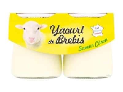 Yaourt de brebis 1.19&nbsp;&euro;