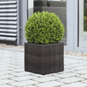 Aldi Garden Feelings® Bac carré pour plantes