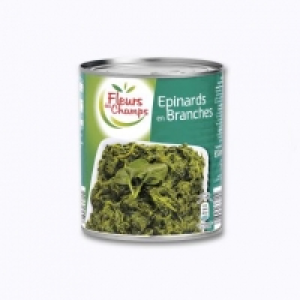 Fleurs Des Champs® Épinards en branches