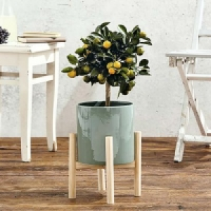 Living Art® Pot de fleurs avec support