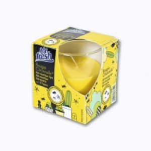 Mr. Fresh® Bougie citronnelle anti-moustiques
