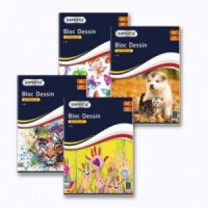 Bloc à dessin 0.99 €