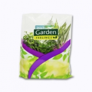 Aldi Garden Feelings® Lot de 3 plantes vertes en sac