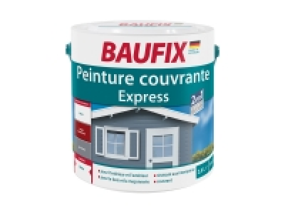 Peinture express 13.99 €