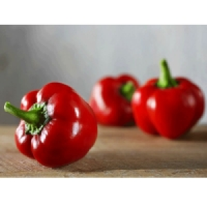 Poivrons rouges De 900g à 1,1kg Catégorie 1 - Calibre 80/100 - Origine 4.95 €